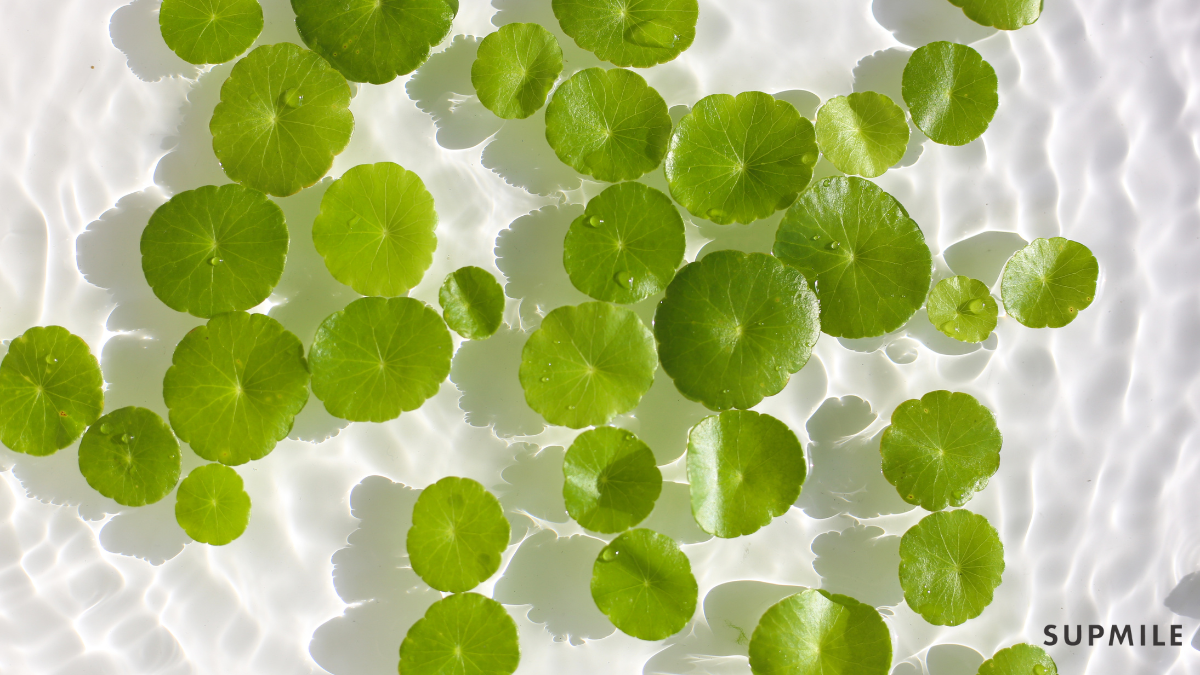 肌の鎮静を促して整える乳液