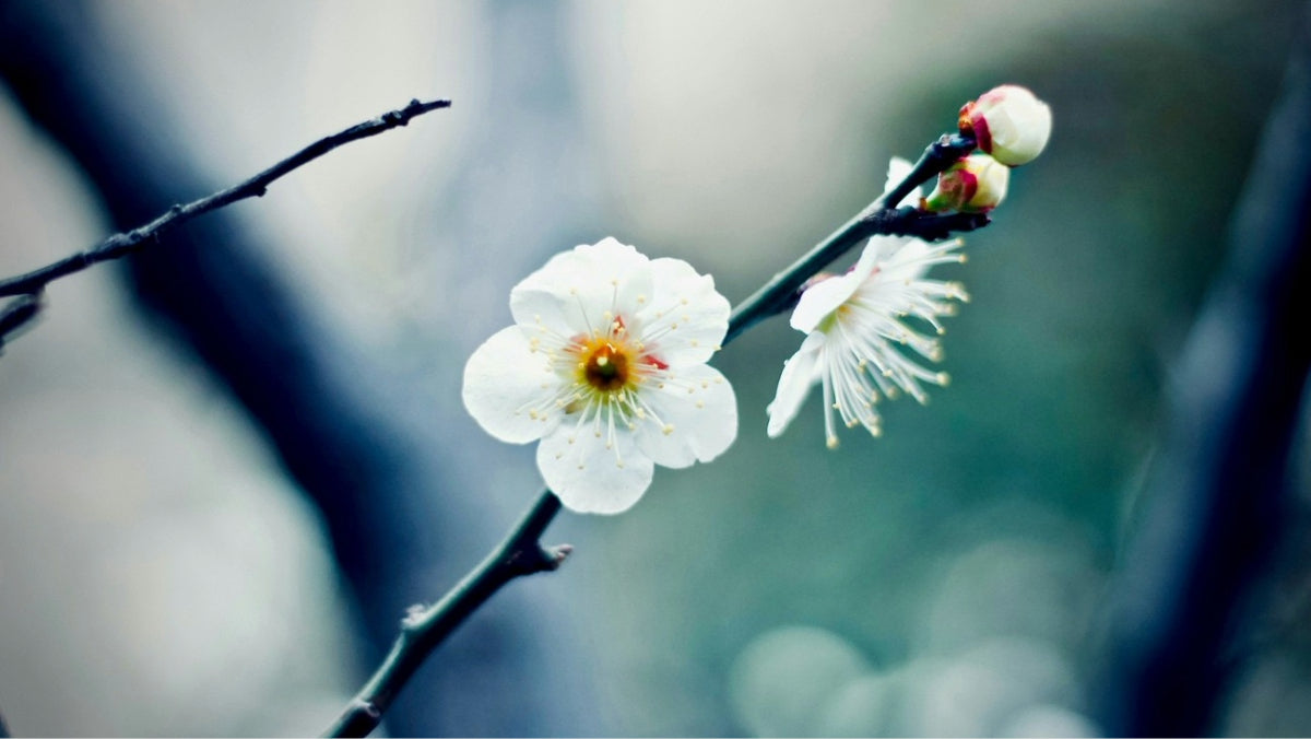 冬から春の肌トラブルを知っておこう！基本のケアと紫外線対策